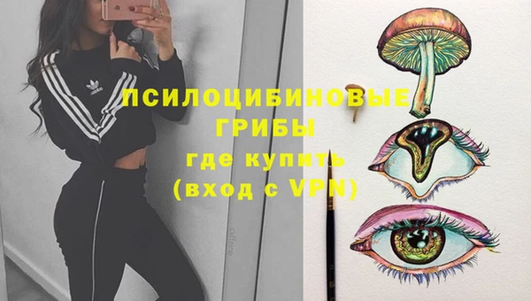 винт Аркадак